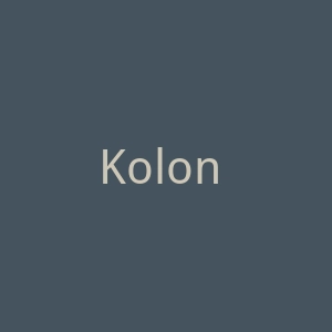 Kolon Sport