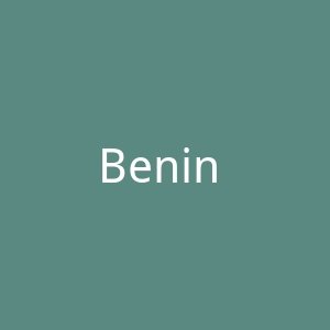 Benin Info官网