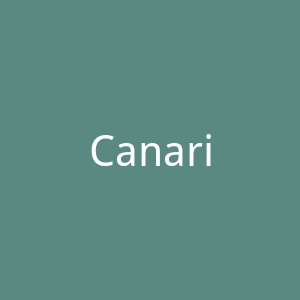 Canarias官网