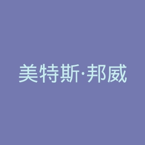 美特斯·邦威