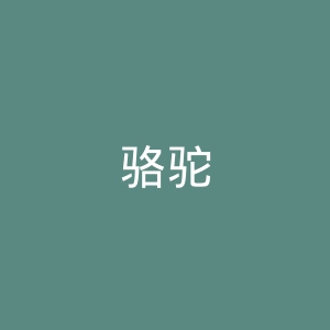 骆驼