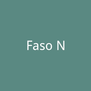 Faso News官网