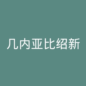 几内亚比绍新闻官网