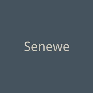 Seneweb官网