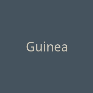 Guinea-Ecuatori官网