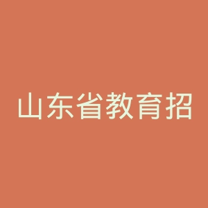 山东省教育招生考试院