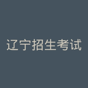 辽宁招生考试之窗