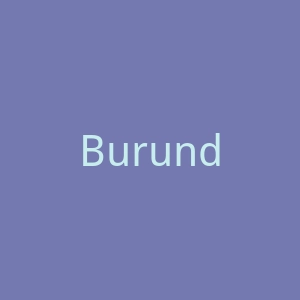 Burundi Realite官网