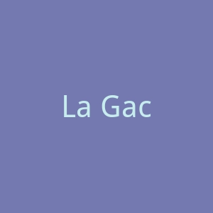 La Gaceta de Guinea Ecuatorial官网
