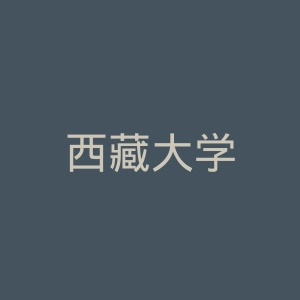 西藏大学