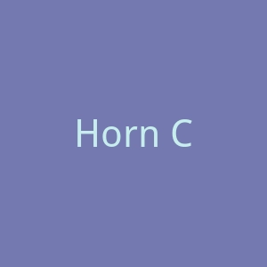 Horn Cable TV官网