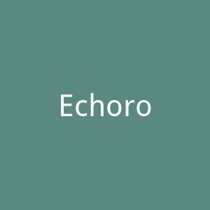 Echoroukonline官网