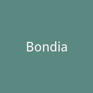 Bondia.ad官网
