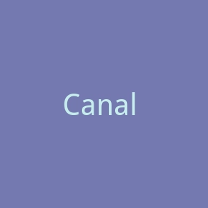 Canal Sur官网