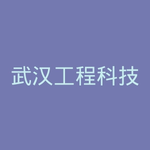 武汉工程科技学院