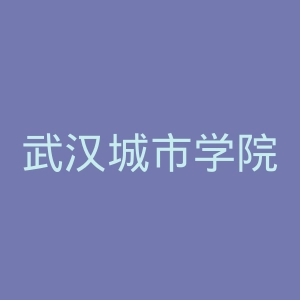武汉城市学院
