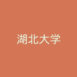 湖北大学