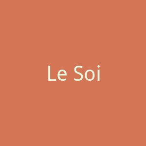 Le Soir官网