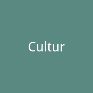 Cultura 24官网