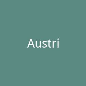 Austria 9官网