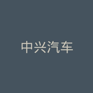 中兴汽车