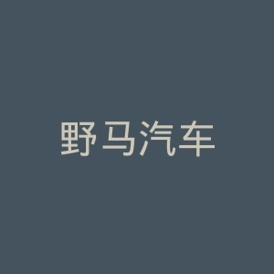 野马汽车