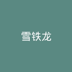 雪铁龙