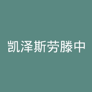 凯泽斯劳滕中文网官网