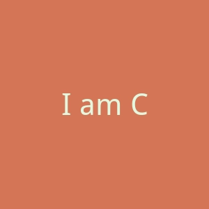 I am Chinese BBS官网