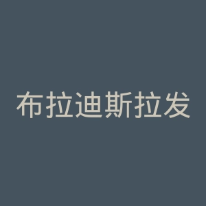 布拉迪斯拉发文化信息网官网