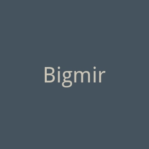 Bigmir官网