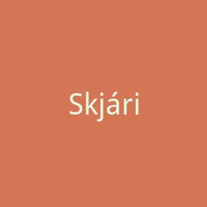 Skjárinn官网