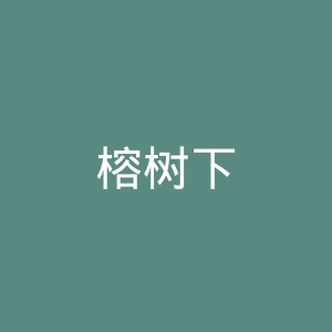 榕树下