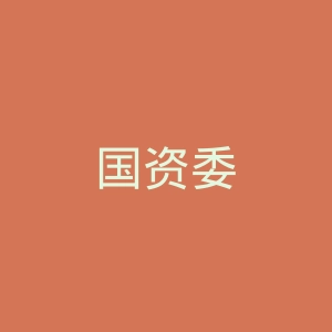 国资委