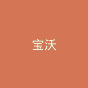 宝沃