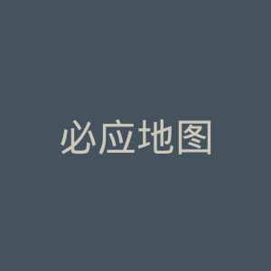 必应地图