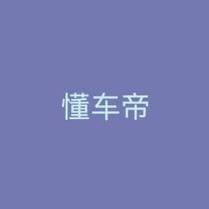 懂车帝
