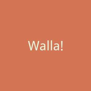 Walla!官网