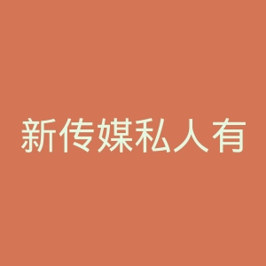 新传媒私人有限公司官网
