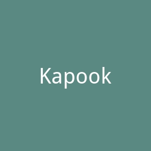 Kapook官网