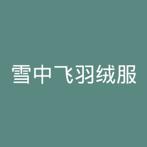 雪中飞羽绒服官网