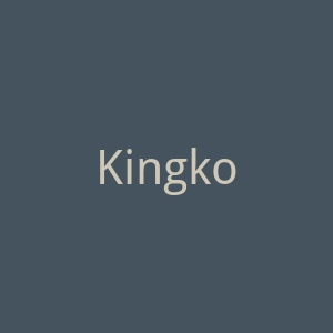 KingkonGent官网