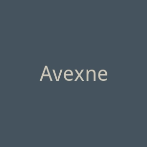 Avexnet官网