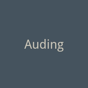 Audingo官网