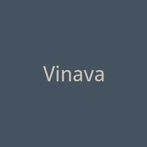 Vinavaldivieso官网