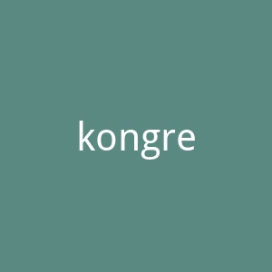 kongregate官网
