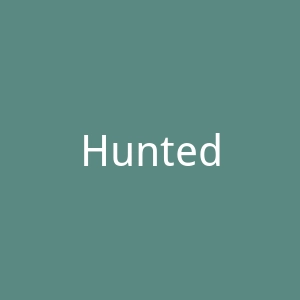 Hunted: The Demon’s Forge官网