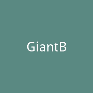 GiantBomb官网