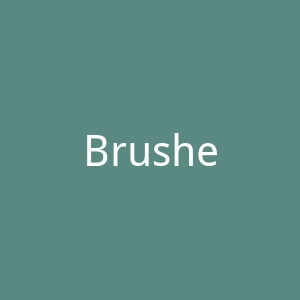 Brusheezy官网