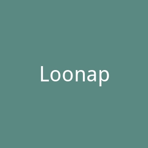 Loonapix官网